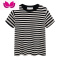 七斓撞色条纹短袖t恤女夏季装设计感小众修身显瘦短款正肩体恤上衣服