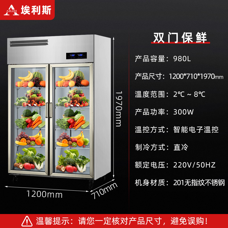 埃利斯(AILISI)厨房冰箱商用冷藏柜 水果蔬菜串串啤酒饮料保鲜冰柜 商用立式展示柜 CFR-40B2全冷藏 大二门