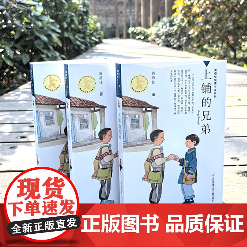 上铺的兄弟 黄蓓佳倾情小说系列2025新作 教育理想 通识教育 儿童成长高清大图
