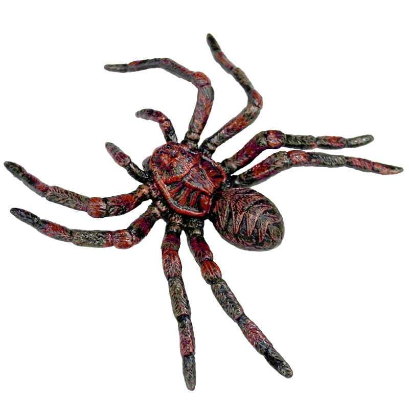 仿真昆虫动物蜘蛛玩具模型黑毒愚人狼蛛整蛊吓人搞怪儿童认知礼物黑白