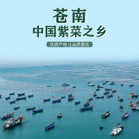 一品爽头茬紫菜50g免洗无沙头水紫菜干货蛋花汤不加食用盐