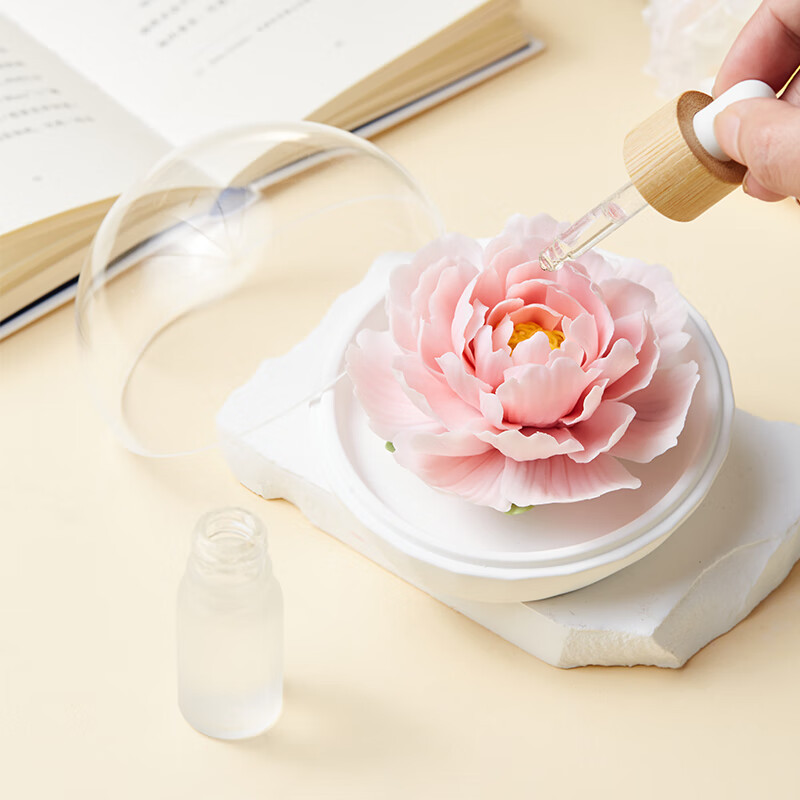 共禾京品 瓷花香氛礼盒 SZFICOM240004(圣诞红)高清大图