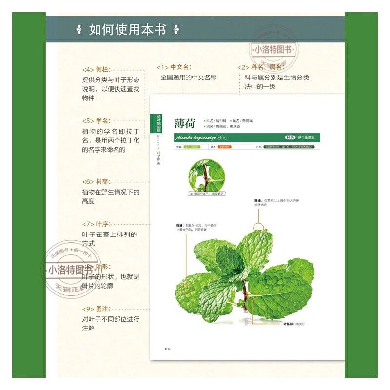 [官方正版]叶子图鉴 [正版] 叶子图鉴 家庭养花园花卉室内植物 养花大全家庭养花实用宝典 养花种菜辨识四季花卉多肉植物