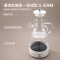 龙的(Longde)LD-YS1018多功能玻璃养生壶家用迷你1L小功率宿舍煮茶养生烧水壶