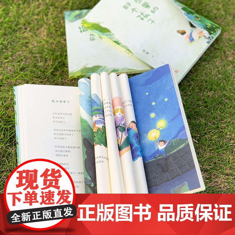 草丛里的那个孩子(《村小:生字课》作者高凯倾心打造一部充满现实主义和惊奇诗意的诗集)高清大图