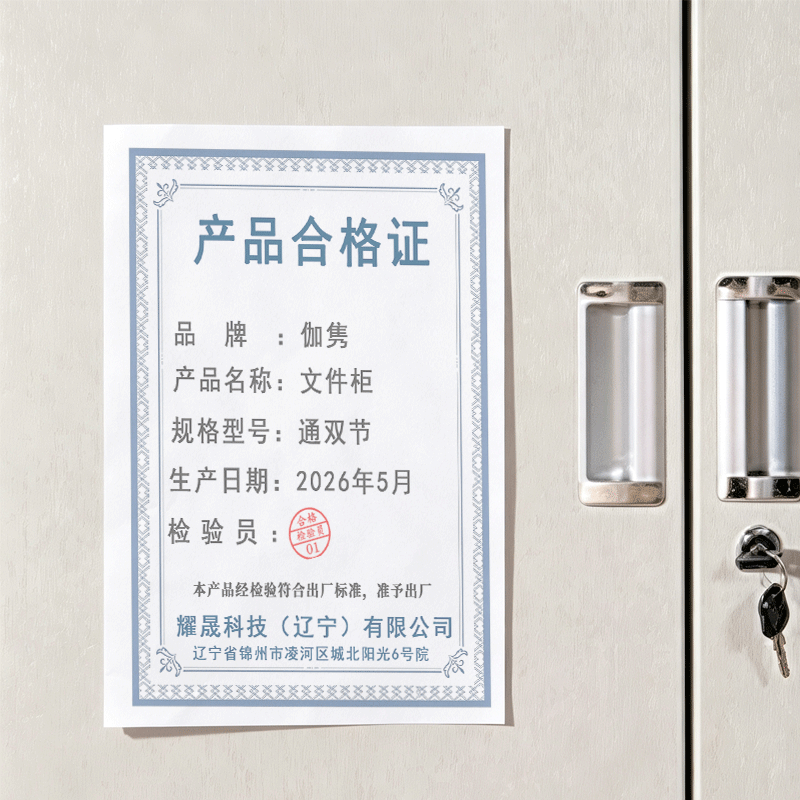 伽隽 文件柜 通双节 个高清大图