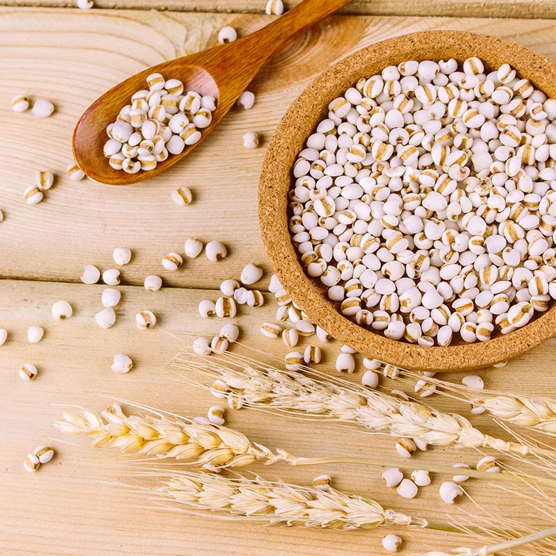 燕之坊 大薏仁米1kg 红豆薏米茶五谷杂粮粥米甜品原料
