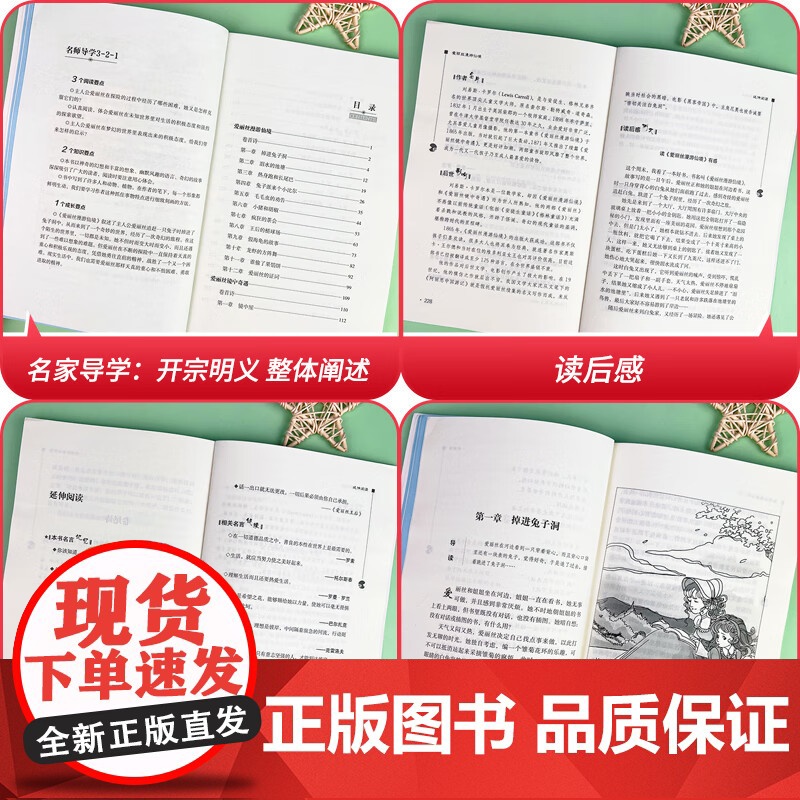正版 智慧熊 爱丽丝漫游仙境 中小学生阅读指导丛书 彩插励志版无障碍阅读 中小学生阅读经典名著课外教辅书 南方出版社高清大图