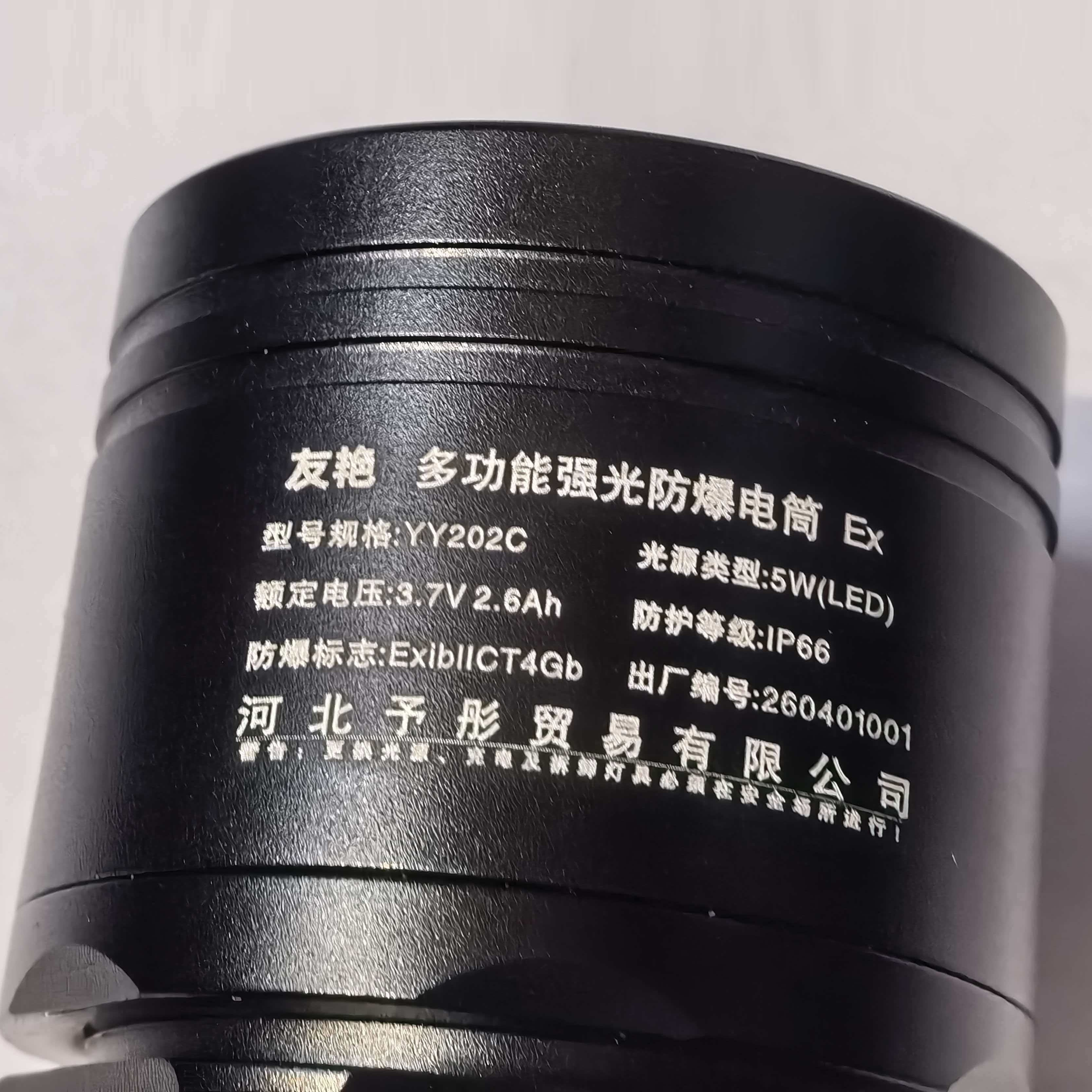 友艳LED灯YYDD-001/个高清大图