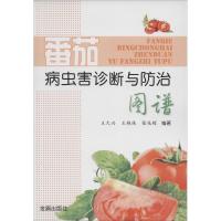 番茄病虫害诊断与防治图谱 无 著作 王久兴 等 编者 专业科技 文轩网