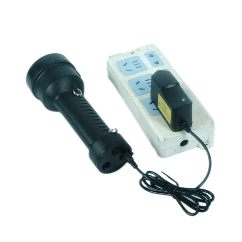 RDZM 固态免维护强光手电筒 配肩带 RDZ5170 台高清大图