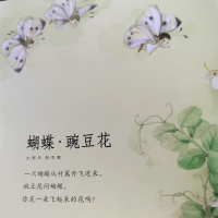 蝴蝶豌豆花正版一年级二年级三年级上金波主编中国经典童诗绘本河北教育出版社儿童书籍蝴蝶·豌豆花小学生书胡蝶婉豆花非注音版