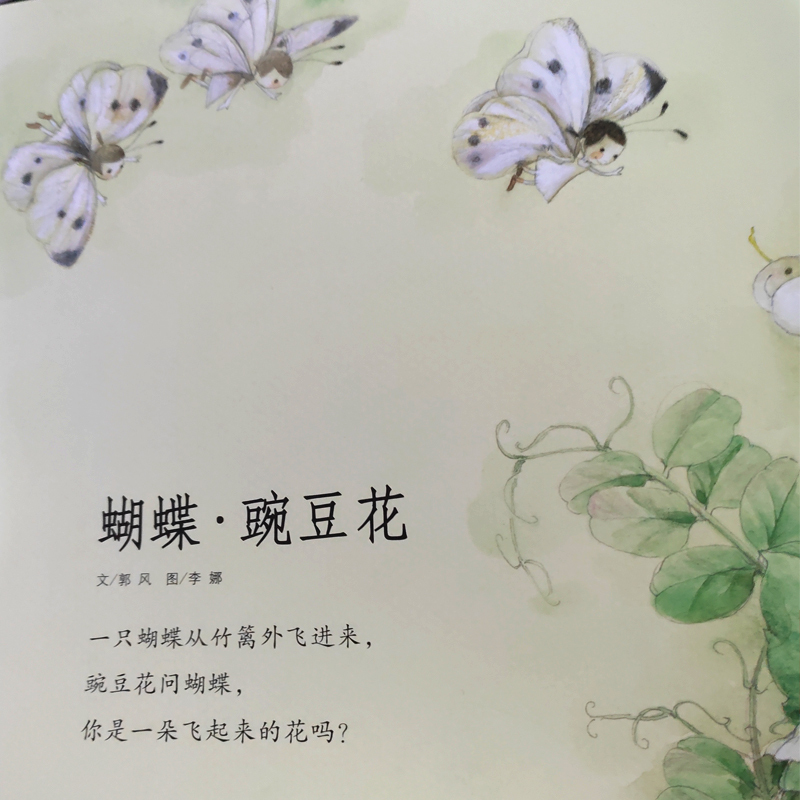 蝴蝶豌豆花正版一年级二年级三年级上金波主编中国经典童诗绘本河北教育出版社儿童书籍蝴蝶·豌豆花小学生书胡蝶婉豆花非注音版