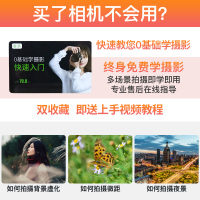 佳能（Canon）EOS 800D单反相机 入门级 佳能800d 佳能18-55 IS STM镜头