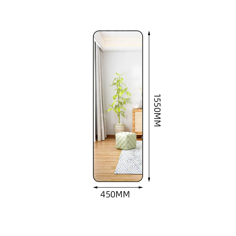 翌嘉YJ-CYJ-20 全身镜家用家用可移动等身墙面女装店试衣舞蹈化妆落地镜 黑色 450*1550高清大图