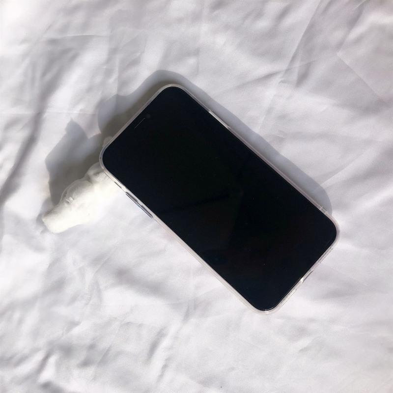 赵露思同款爱心兔子苹果11promax手机壳iPhonexs卡通7/8plus女11 爱心兔子+竖着彩色链条兔子 苹果