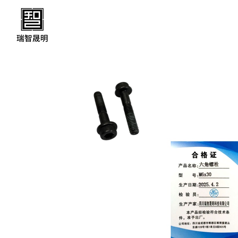 瑞智晟明(RZSM)六角头螺栓 M6x30