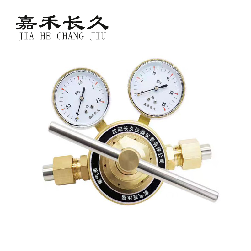 嘉禾长久 氧气减压气检测定制型 氧气表(双头) 个高清大图