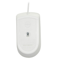 戴尔(DELL)MS116 白色有线办公鼠标