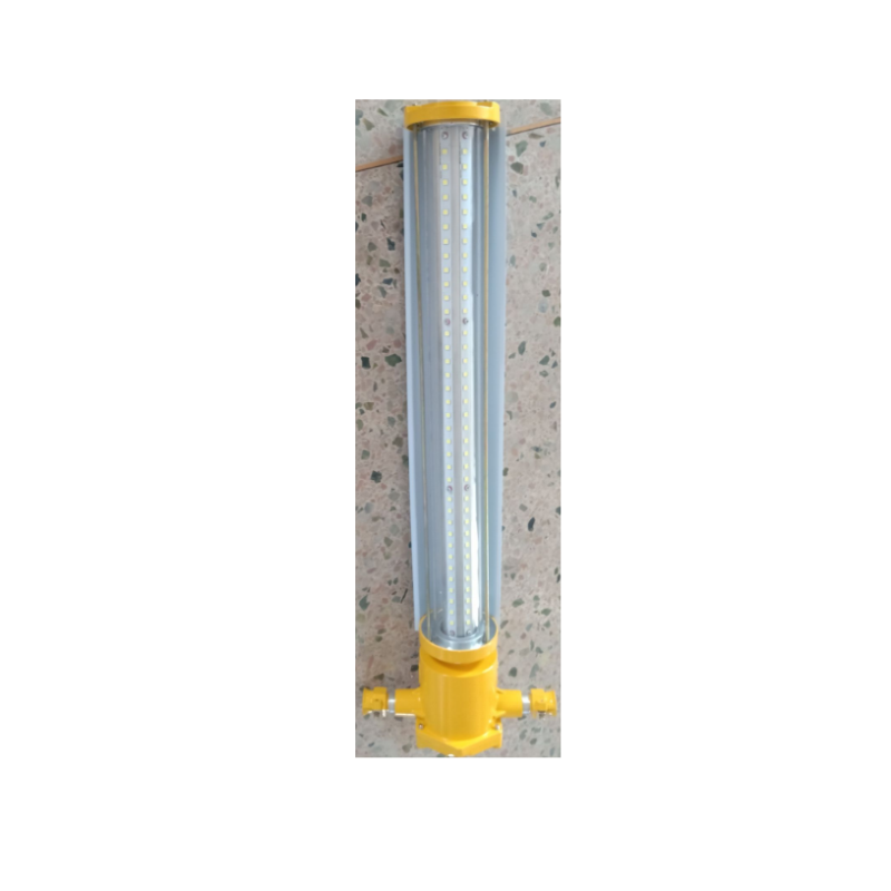 DINT 矿用隔爆型LED巷道灯 DGS36/127L(A) 48W M