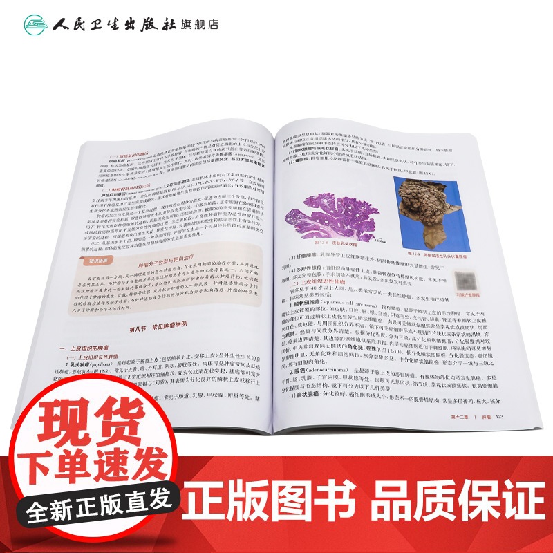 病理学与病理生理学第5版人卫陈振文护用药理老年妇产科护理学儿科传染病急危重症心理学基础营养与膳食人助产教材民卫生出版社高清大图