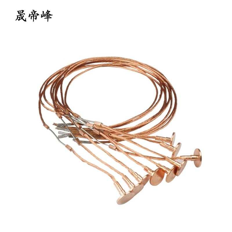 晟帝峰 纽扣式熔丝 1A 根高清大图