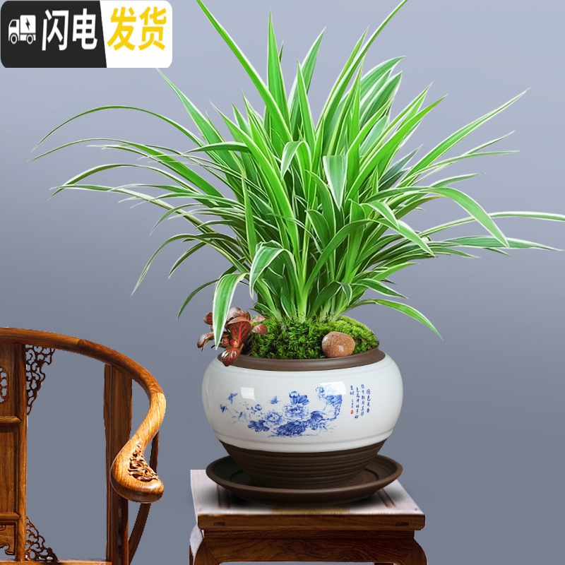 三维工匠陶瓷蝴蝶兰专用景德镇花盆君子兰盆景多肉绿植盆栽青花瓷绿萝 [单盆]青花瓷718花盆(荷花) 中等花盆容器