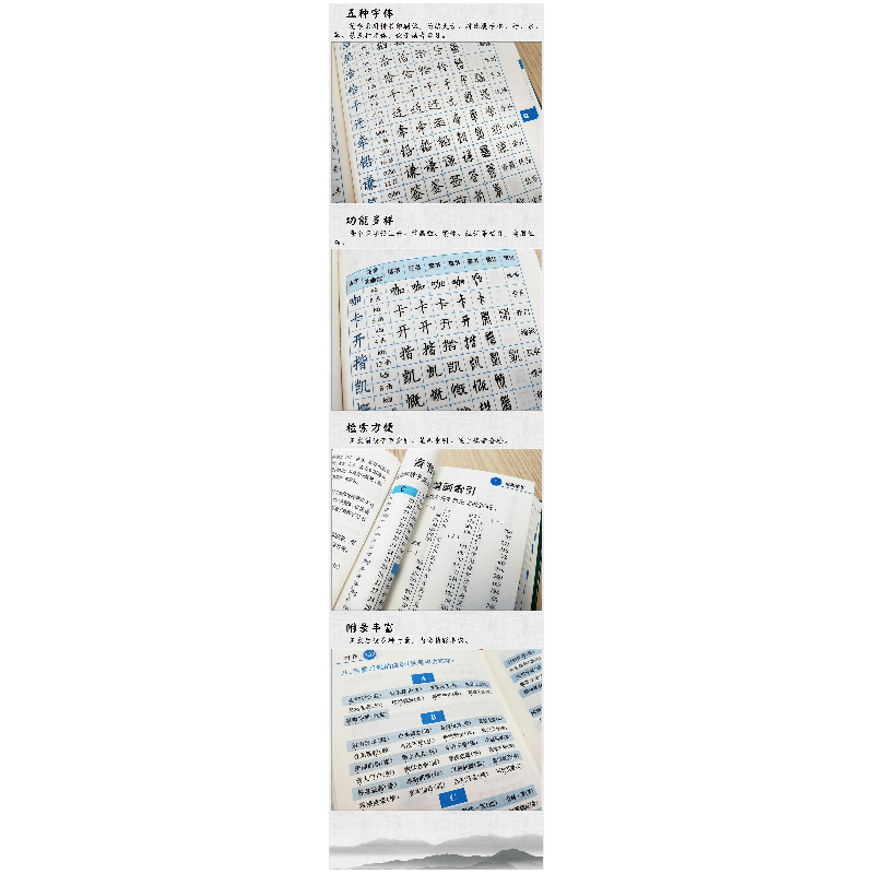 正版新书]常用汉字钢笔五体字典(双色版)汉语大字典编纂处9787高清大图