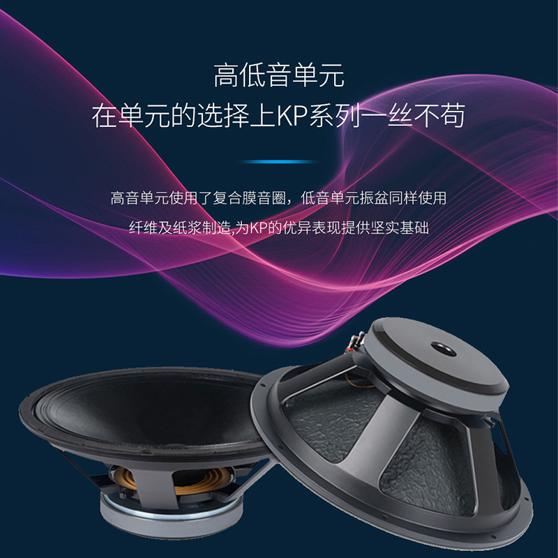 润普国产化会议室展厅教室礼堂报告厅10英寸全频专业会议音响/音箱RP-HYD655高清大图