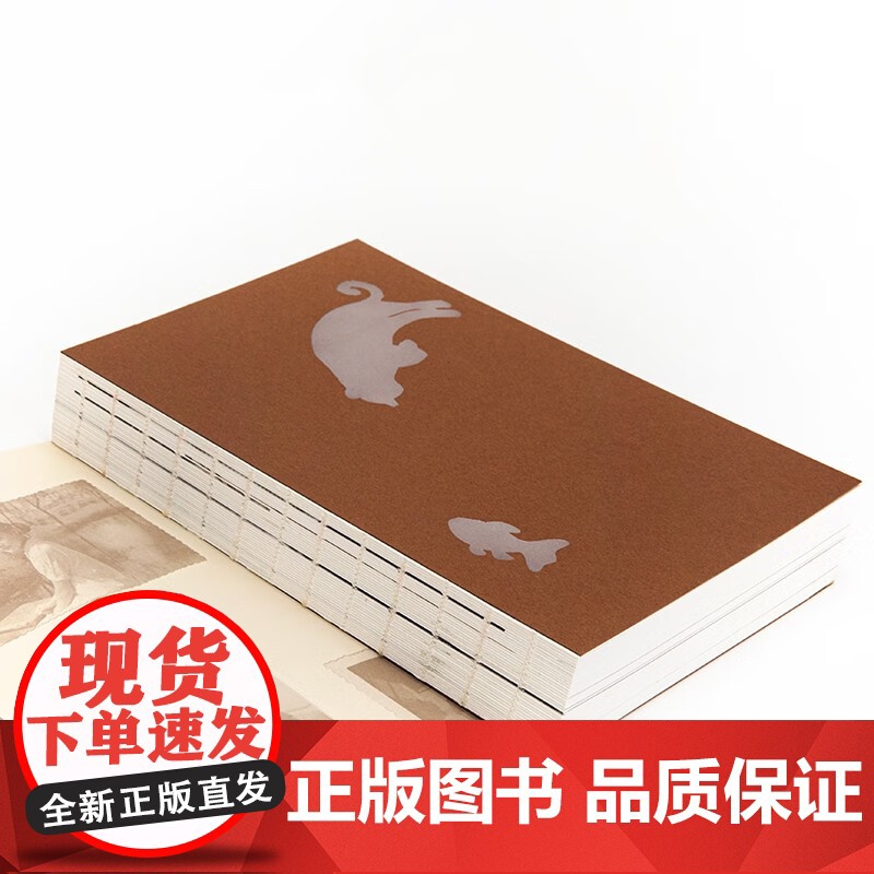 猫鱼 陈冲著 自传性散文作品回忆录 金宇澄 罗新 姜文 许知远诚意 林青霞 电影艺术家传记 当代女性的成长之书高清大图