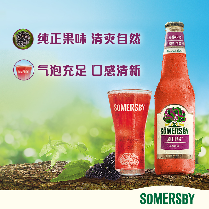 嘉士伯黑莓味酒夏日纷果啤Somersby24瓶整箱装