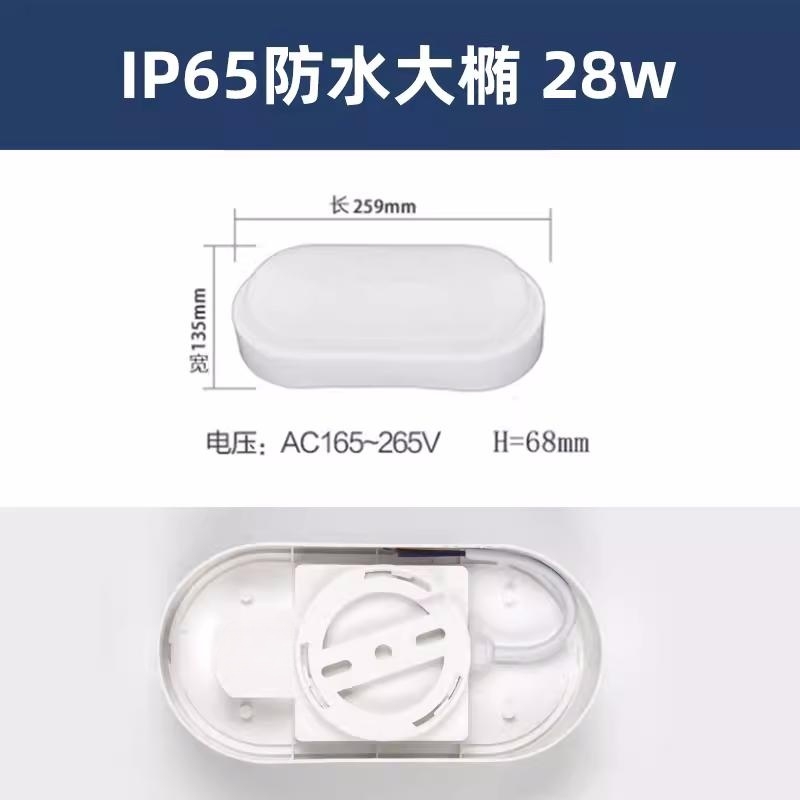 RDZM 椭圆形LED防水防潮灯 RDF9022 三防吸顶灯高清大图