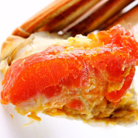 阳澄联合大闸蟹鲜活螃蟹公4.0-3.5两 母3.0-2.5两 8只海鲜水产