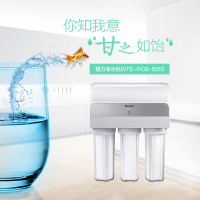 格力(GREE)净水器WTE-PC8-5013家用厨房直饮净水机厨下式
