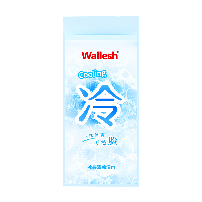 威立世(wallesh) 冰感清凉湿巾 10片装