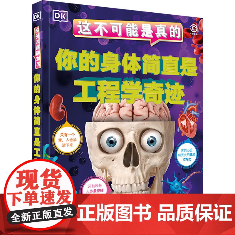 DK这不可能是真的 你的身体简直是工程学奇迹 6-10岁 英国DK公司著 儿童身体科普 身体的奥秘 我们的身体 课外阅读高清大图