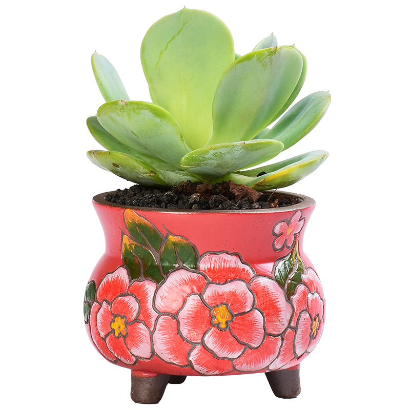 韩式手绘多肉陶瓷粗陶创意个性养肉肉的植物盆栽 花盆