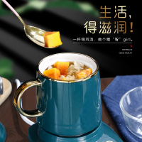 养生壶全自动家用法耐(FANAI)多功能办公室mini小型煮茶器迷你加热水壶煮花茶 0.5L白色杯+0.6L玻璃杯+底座