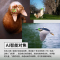 FUJIFILM/富士无反微单数码相机 银色X-T30 III/1333套机 三代套机 富士 无反 微单相机 xtt30II升级款 2610万像素
