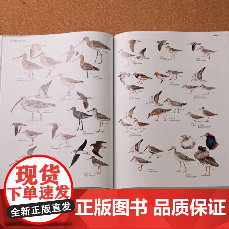 [央视网]中国青藏高原鸟类 汇集国内鸟类研究学者前沿科研成果 1000余幅精美手绘 2000余张鸟类野外生态照DL高清大图