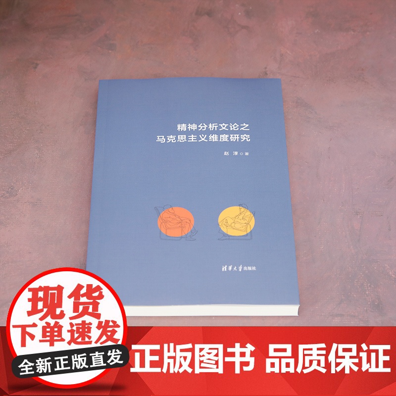 [正版新书]精神分析文论之马克思主义维度研究 赵淳 西方文论高清大图