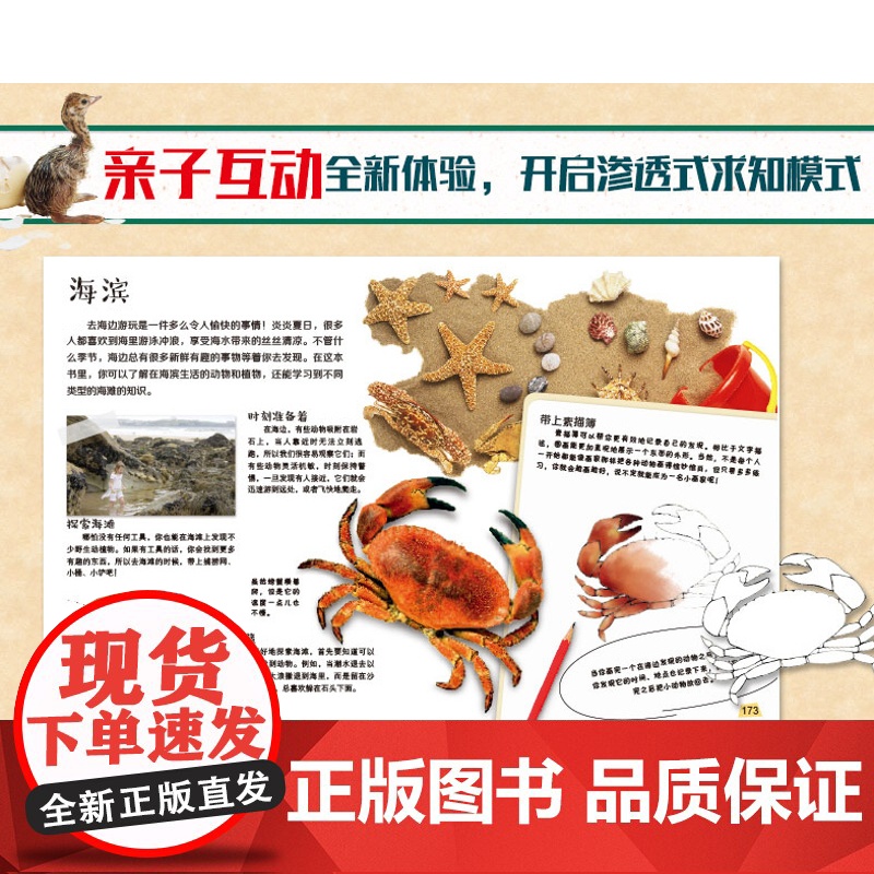 dk儿童自然探索百科全书少儿小学生科普大全6-9-12周岁童趣出版社气候鸟类动物森林海洋生物解读自然的揭秘系列科学书高清大图