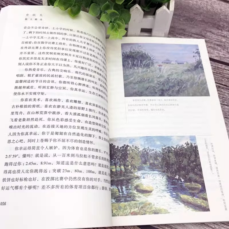 [正版]史铁生散文选集作品初高中生课外书必读老师经典收录我与地坛/秋天的怀念/好运设计/病隙碎笔/人间智慧必在某处汇合高清大图
