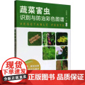 蔬菜害虫识别与防治彩色图谱 邱海燕，刘奎 著 中国农业出版社978710930955农