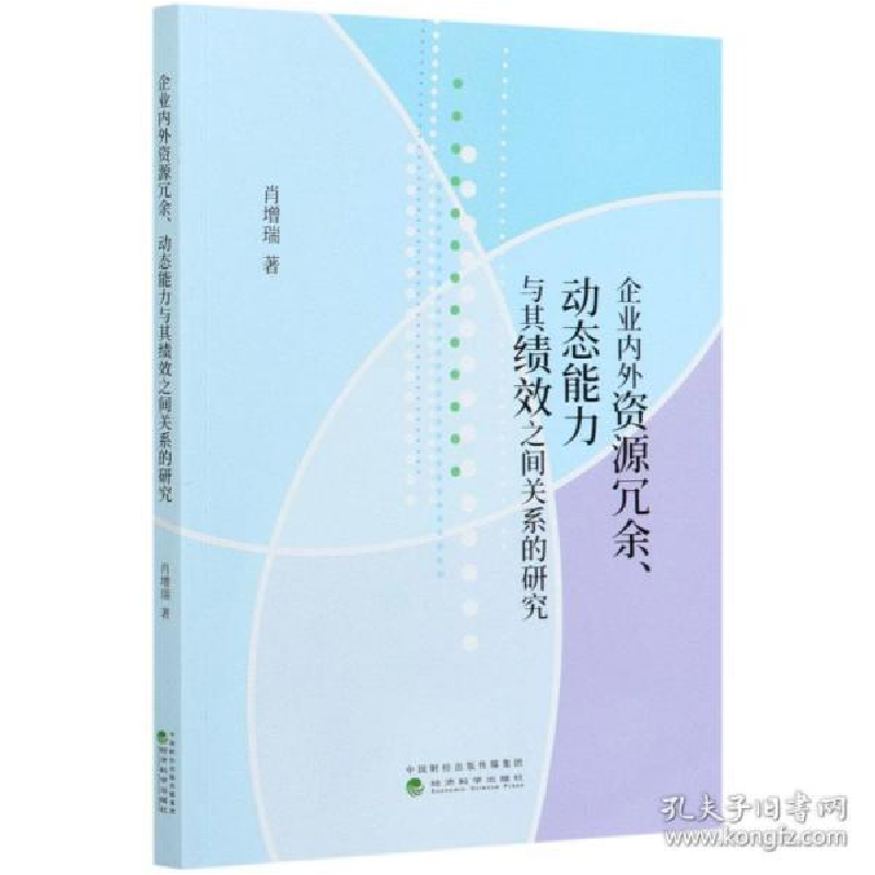 正版新书]企业内外资源冗余、动态能力与其绩效之间关系的研究高清大图