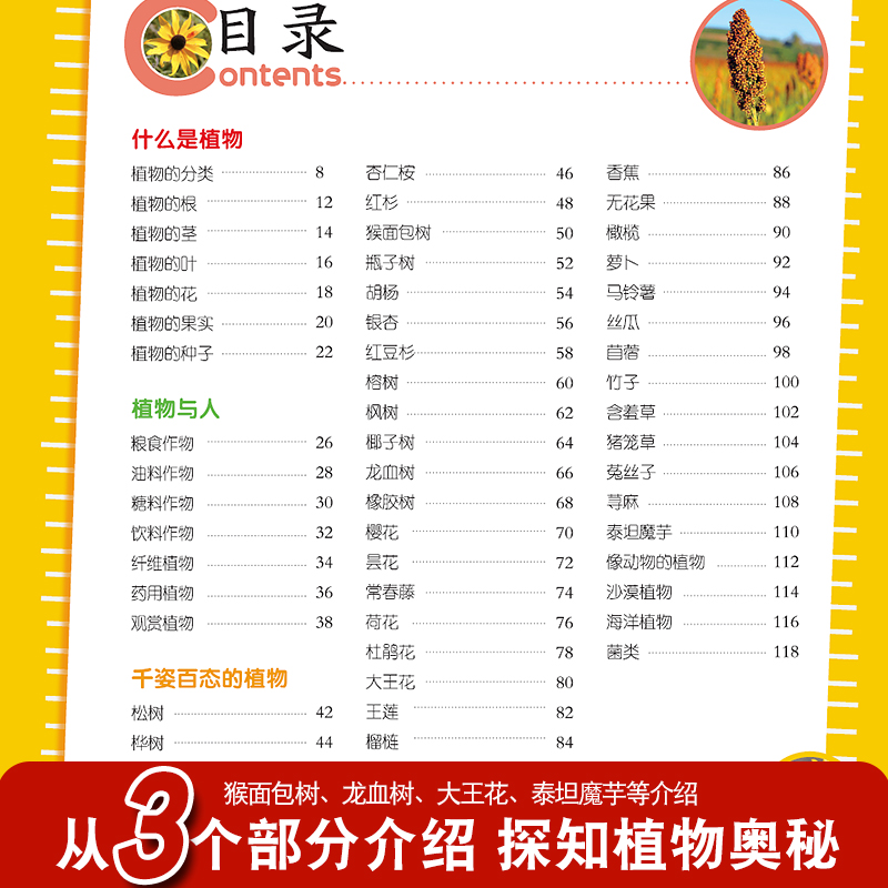 [选3件39元]野生动物 [正版]植物大百科全书大全注音版科普绘本儿童小学生小百科读物全套科学启蒙认知幼儿少儿宝宝3-6高清大图
