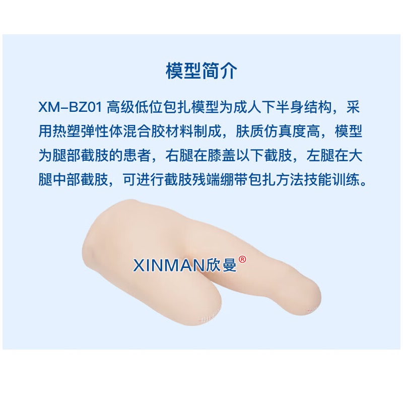 欣曼科教 高级低位包扎模型 下肢包扎模型XM-BZ01高清大图