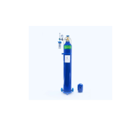便携式医用 15L小氧气罐