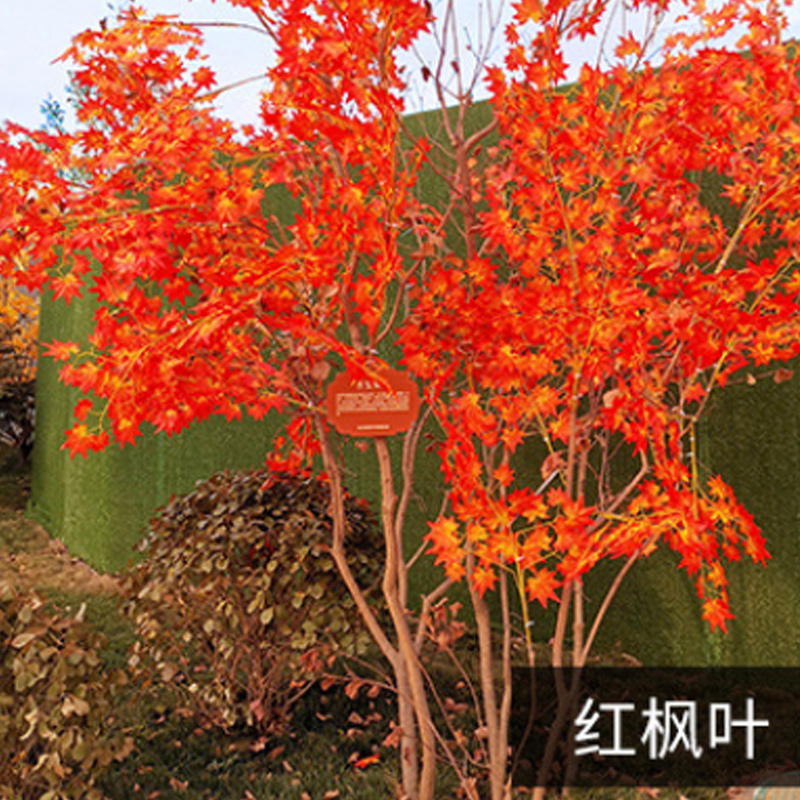 汇特益 仿真红枫叶装饰 假花室内工程造景 五叉小红枫叶高60cm 25叶/支 12支/把(单位:把)高清大图