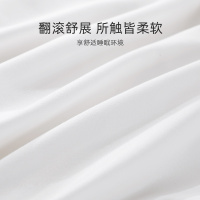 [美国直采 官方正品]Calvin Klein 棉质男士长袖衬衫 41MW114 蓝色